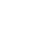 Cyber Security icon